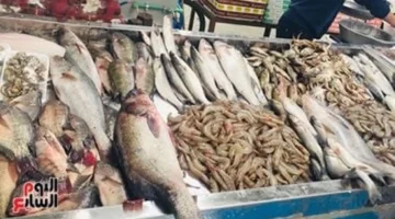 أسعار الأسماك في كفر الشيخ الخميس 23 أكتوبر 2025: استقرار الأسعار وتأثيره على السوق المحلي